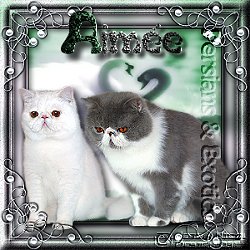 Aimee-Netherlands(NED)