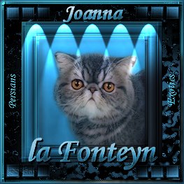 cattery La Fonteyn