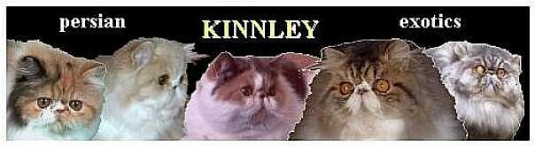 cattery Kinnley