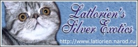 cattery Latlorien