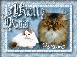 cattery Woollyhome