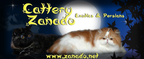 cattery Zanado